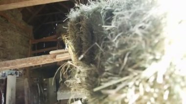 Saman yapmak ve bu makine kullanarak Haystacks almak zamanı geldi