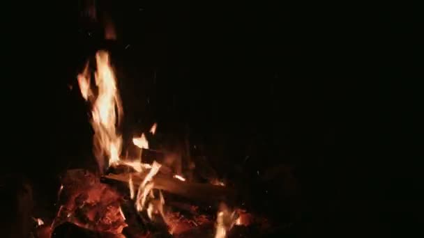 Jemand legt Holzscheite ins Lagerfeuer — Stockvideo