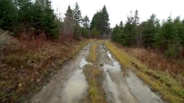 未舗装の道路上の車両から Pov ビューの後ろのタイムラプス — ストック動画