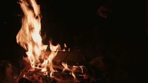 Someone with a Poker into the Camp Fire at Night — Stock Video