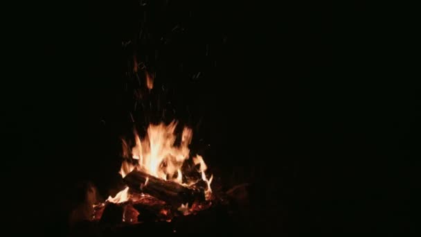 Fuego de campamento por la noche — Vídeos de Stock