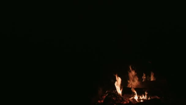 Adicionando madeira em um acampamento de fogo e criando muitas faíscas — Vídeo de Stock