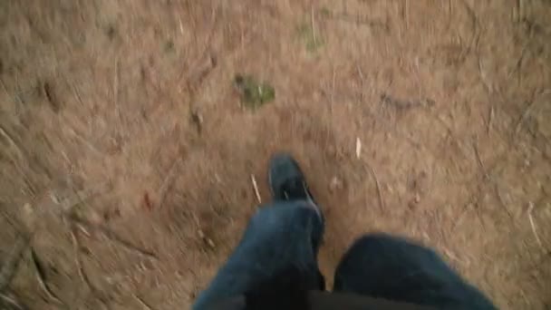 Hombre adulto POV caminando a través de maduro abeto plantación bosque — Vídeos de Stock