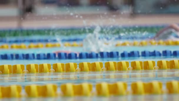 Zijaanzicht van zwemmers in een zwembad in Slow Motion — Stockvideo