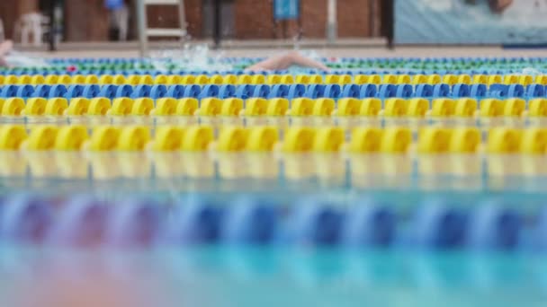 Vue latérale des nageurs dans une piscine au ralenti — Video
