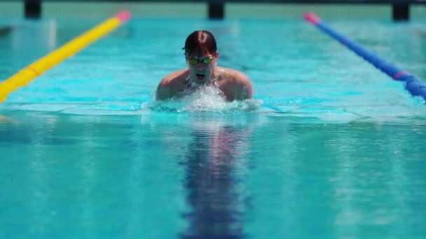 Technique de natation brasse réalisée par un nageur professionnel — Video