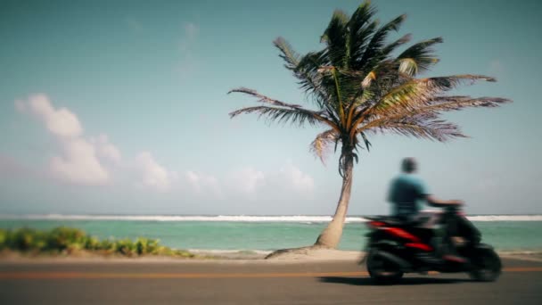 Palm Tree e uma motocicleta embaçada — Vídeo de Stock