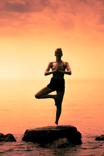 Woman doing the Tree Yoga Position — Stock Photo, Image