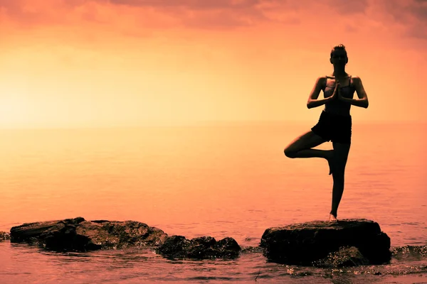 Woman doing the Tree Yoga Position — Stock Photo, Image