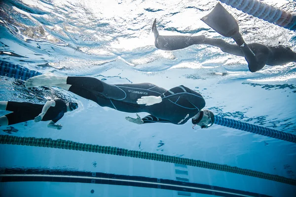 동적 아니 지 느 러 미 Freediver 수 중에서 공연 중 — 스톡 사진