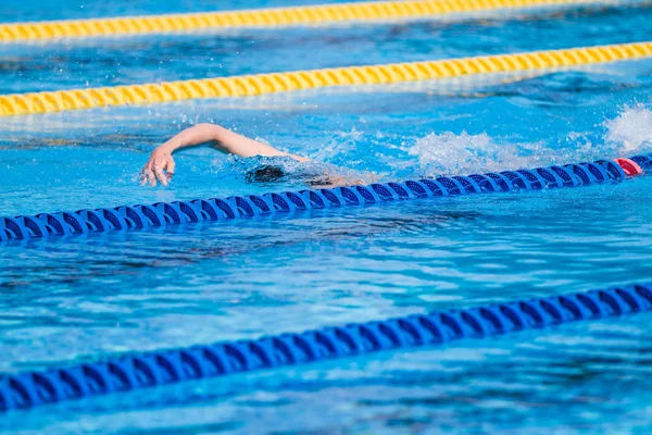 Swimmers Warming-up in the morning and doing a few Pool distance — Stock Photo, Image