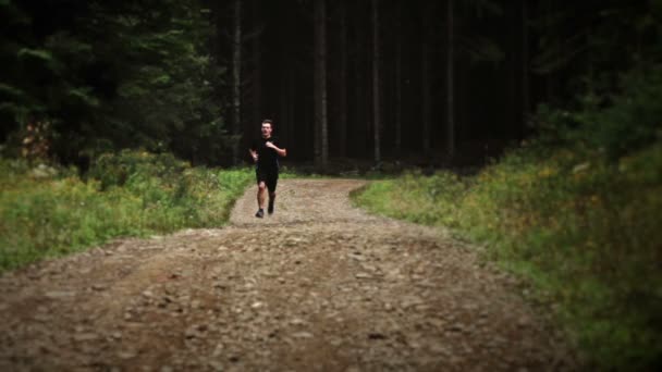 森の中だけで走っている人 — ストック動画
