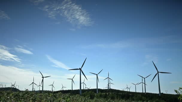 Turbinas eólicas en un campo que no gira — Vídeo de stock