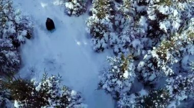Doğada sürgülü insanların hava Video 