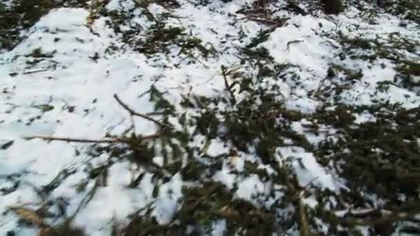 Toter Schnee nach Kahlschlag — Stockvideo