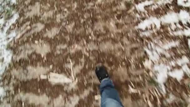 Hombre caminando a través de la plantación — Vídeos de Stock