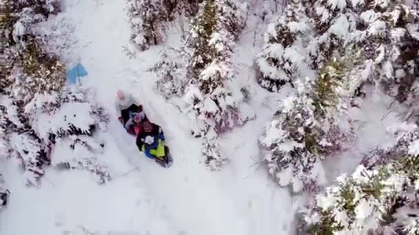 Luchtfoto Video van mensen schuiven in de natuur — Stockvideo