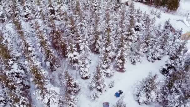 Aerial Video av människor glider i naturen — Stockvideo