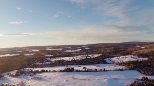 Landsbygden och skog landskap — Stockvideo