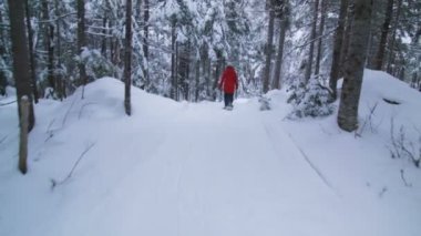 Bir orman iz kadında yürüyüş