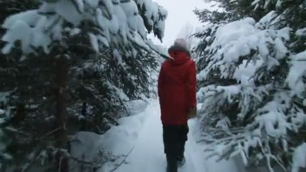 Walking kvinna i en skog spår — Stockvideo