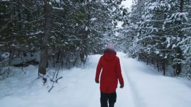 Ходячая женщина по лесной тропе — стоковое видео