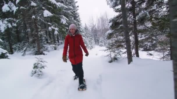 Walking kvinna i en skog spår — Stockvideo