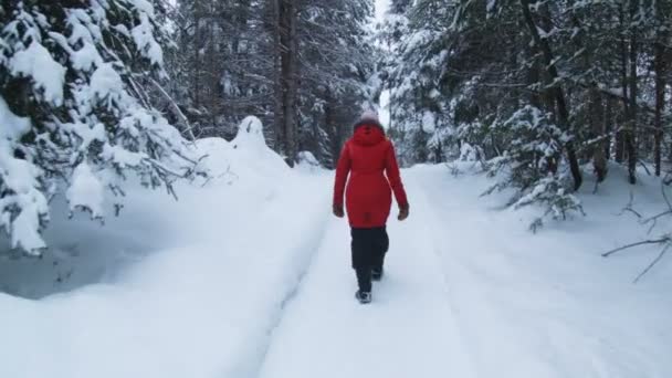 Spaziergängerin auf Waldweg — Stockvideo