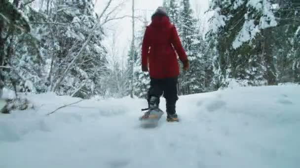 Walking kvinna i en skog spår — Stockvideo