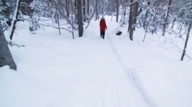 Bir orman iz kadında yürüyüş