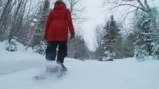 숲의 흔적에 걷는 여자 — 비디오