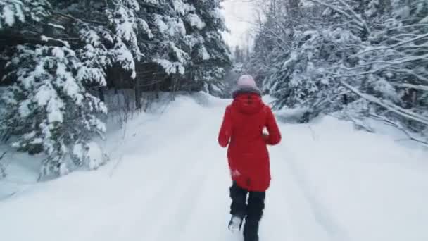 Ходячая женщина по лесной тропе — стоковое видео