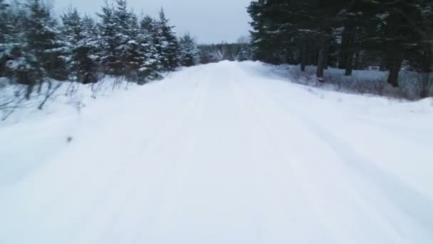 Conducir en una pequeña carretera durante el invierno — Vídeo de stock