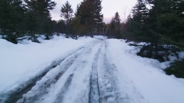 Dirigir em uma pequena estrada durante o inverno — Vídeo de Stock