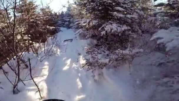 Homem caminhando em pó de neve — Vídeo de Stock