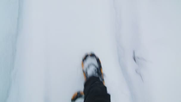 人走在雪粉 — 图库视频影像