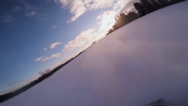 Snowmobile în mișcare rapidă într-o cale forestieră — Videoclip de stoc