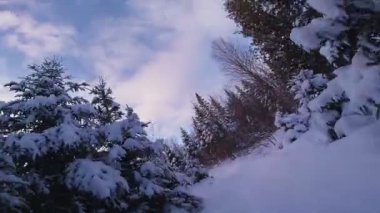 hızlı hareketli kar arabası bir orman yolu