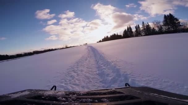 Fast moving Snowmobile in a Forest Path — Stock Video