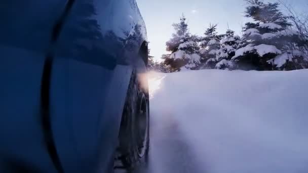 Car Wheel Driving Off Road — Stock Video