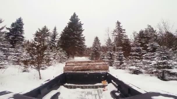 Camions pick-up avec une charge de bois — Video