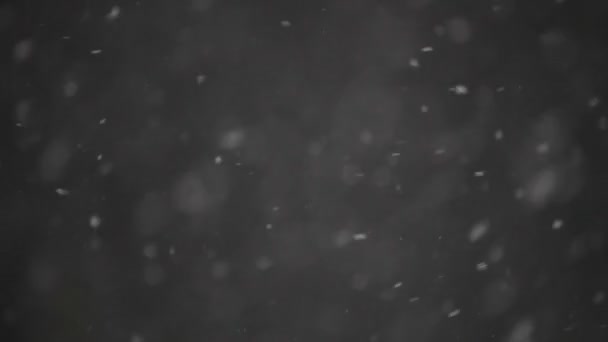  Flocons de neige tombant sur fond noir 