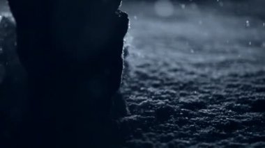 Kar fırtınası yürüyüş kişi 