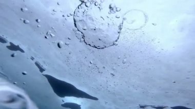 Buz altında sualtı görüntüleme