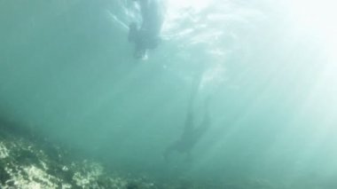 Dalgıçlar dalış su Nehri