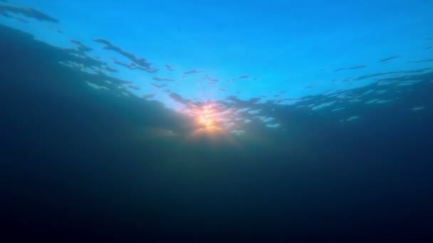 Zonsondergang vanaf Freediver weergave — Stockvideo