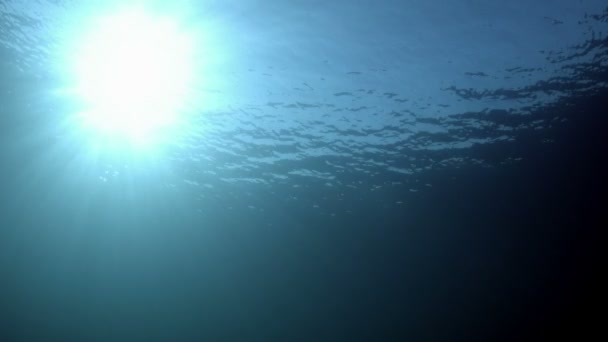 Pôr do sol de Freediver View — Vídeo de Stock