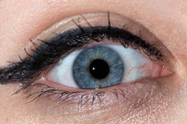 İnsan gözünün ayrıntıları, görünür iris, kadın, flaş.