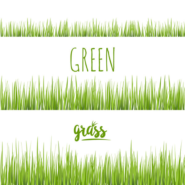 Set realistic green grass lawn