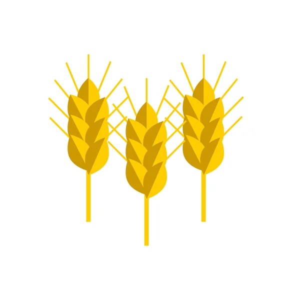 スパイク小麦ベクトル アイコン — ストックベクタ